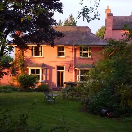 Thatch Close-3